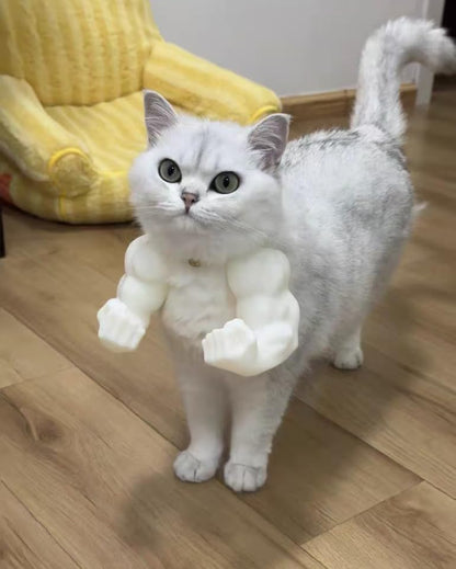 🐈Pet Muscle Arms