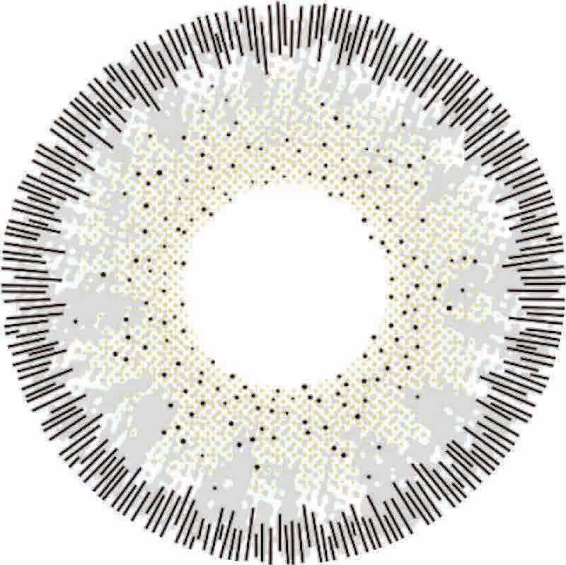 🔥【Factory direct sales】🔥Polar Light Gray Contact Lenses [1-Year Validity]