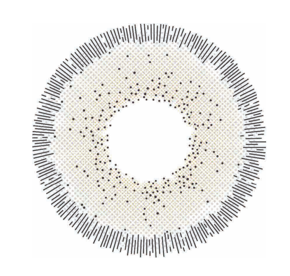 🔥【Factory direct sales】🔥Polar Light Gray Contact Lenses [1-Year Validity]