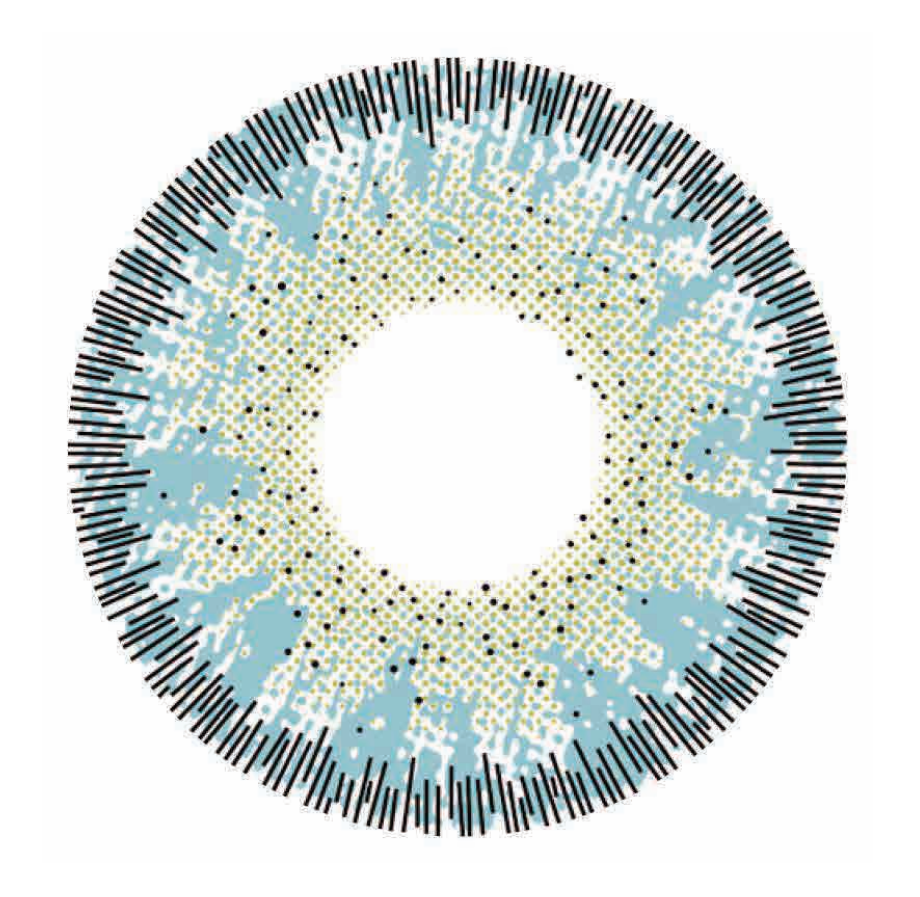 🔥【Factory direct sales】🔥Polar Light Gray Contact Lenses [1-Year Validity]