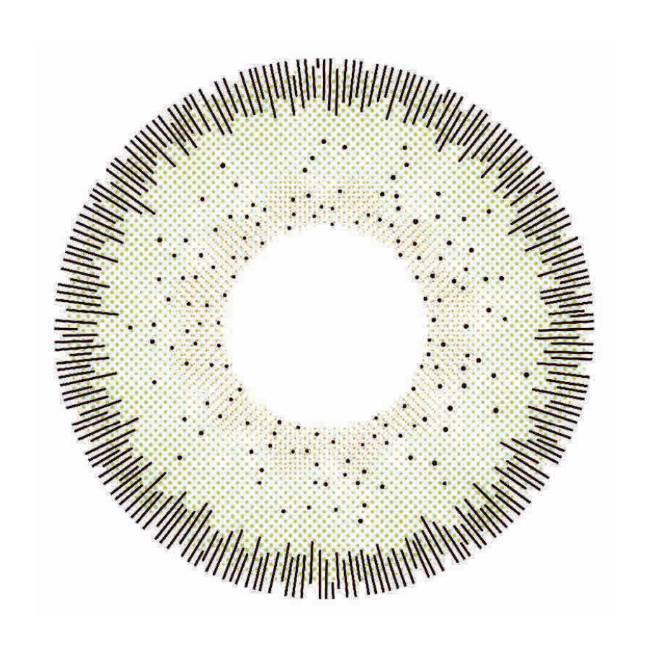 🔥【Factory direct sales】🔥Polar Light Gray Contact Lenses [1-Year Validity]