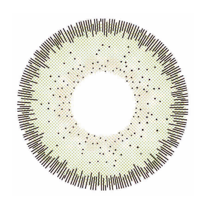 🔥【Factory direct sales】🔥Polar Light Gray Contact Lenses [1-Year Validity]