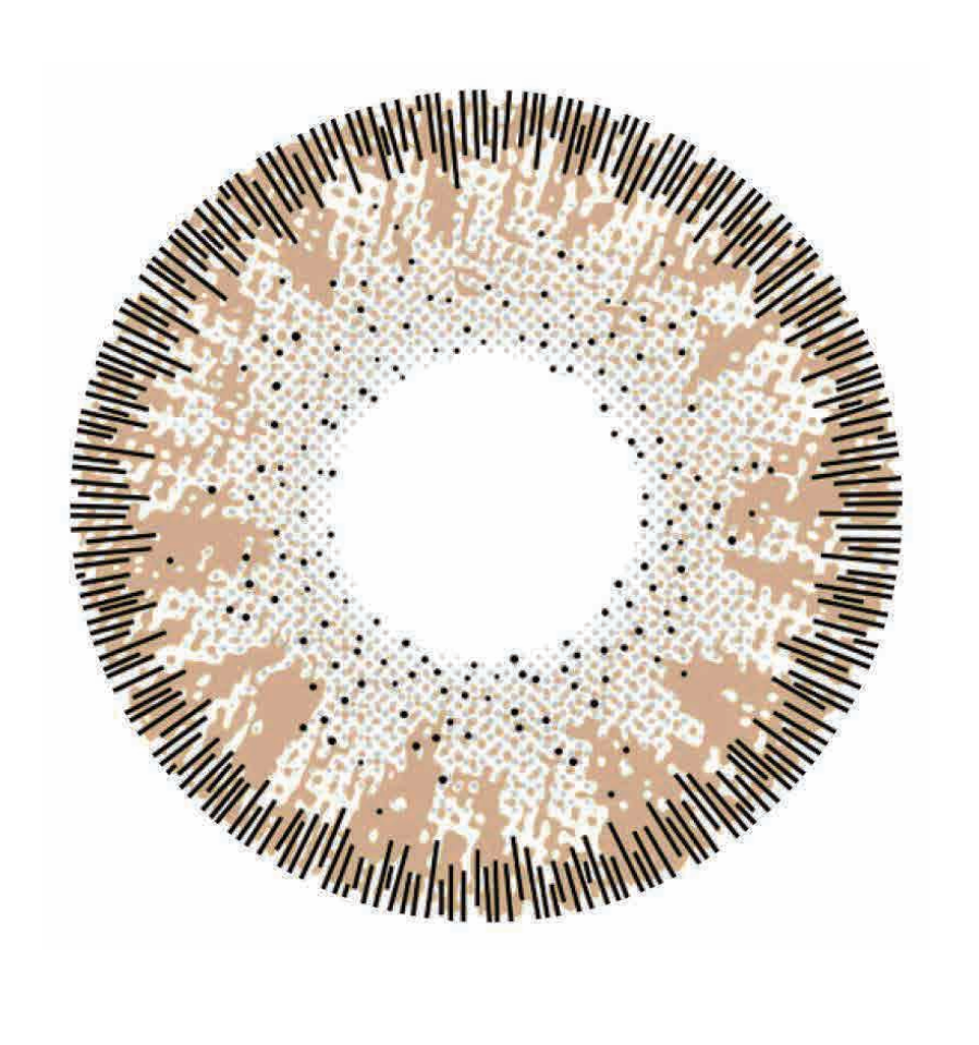 🔥【Factory direct sales】🔥Polar Light Gray Contact Lenses [1-Year Validity]