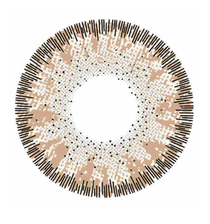 🔥【Factory direct sales】🔥Polar Light Gray Contact Lenses [1-Year Validity]