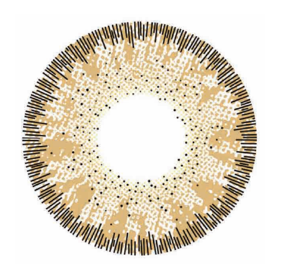 🔥【Factory direct sales】🔥Polar Light Gray Contact Lenses [1-Year Validity]